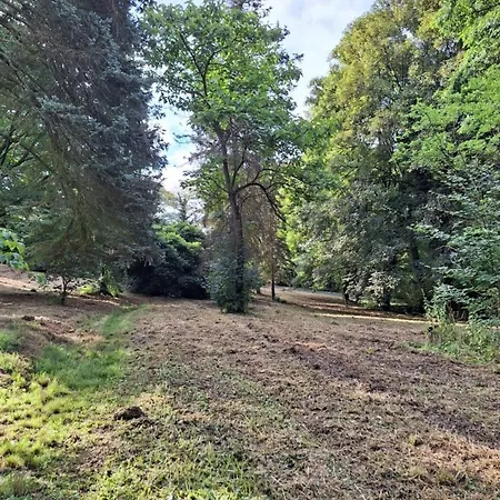 Bergblick-fewo Apartamento Hohenstein-Ernstthal